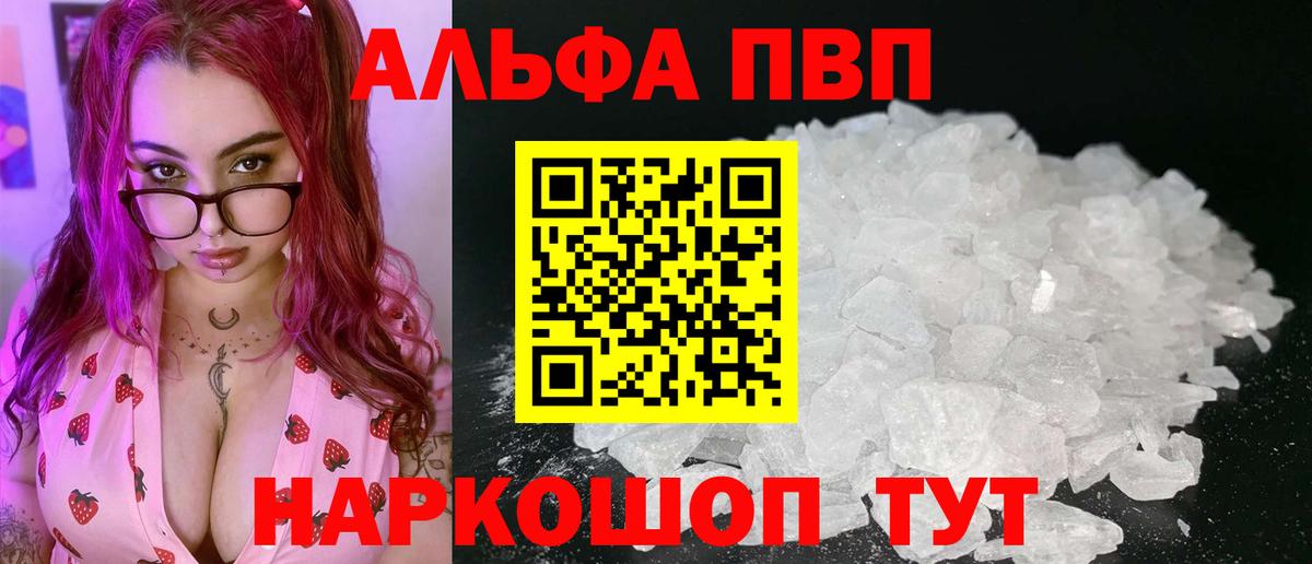 А ПВП СК Новошахтинск