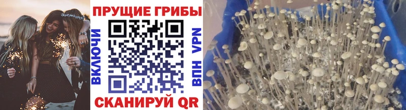 Псилоцибиновые грибы Magic Shrooms Новошахтинск