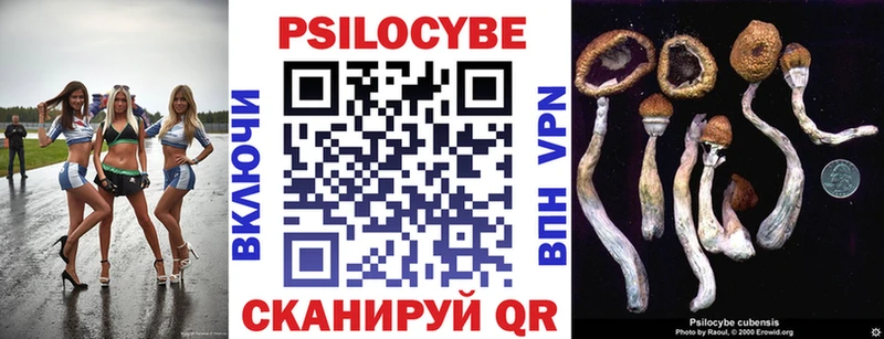 Псилоцибиновые грибы Magic Shrooms  дарк нет телеграм  Новошахтинск 
