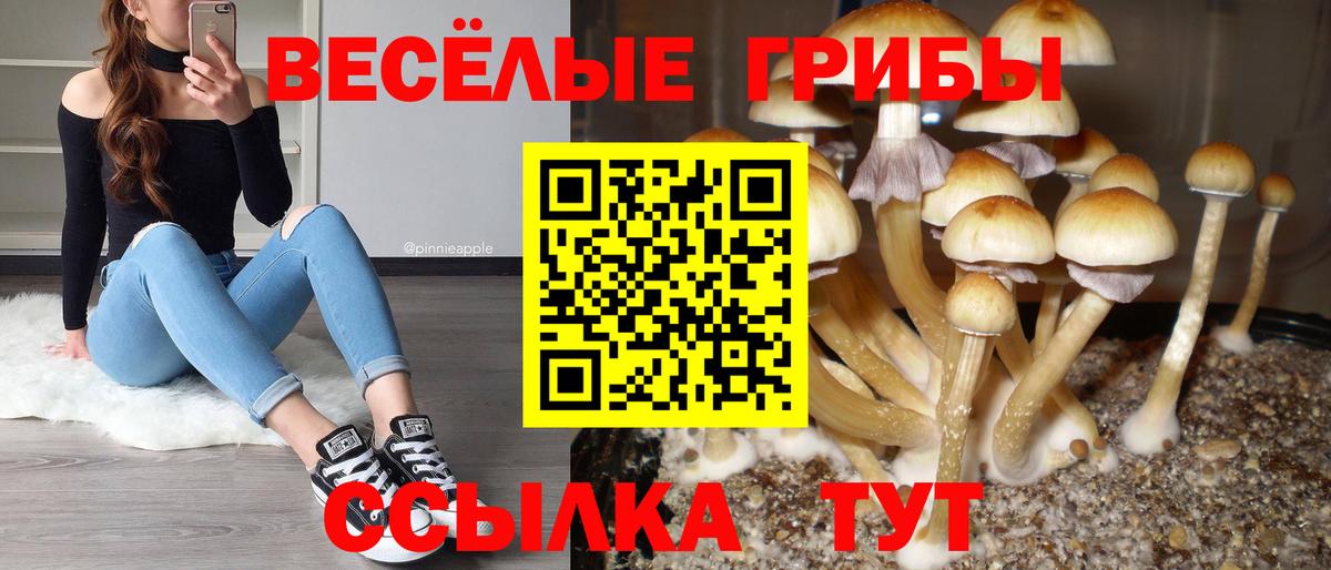 Галлюциногенные грибы прущие грибы  где купить наркотик  Новошахтинск  Вход с VPN 